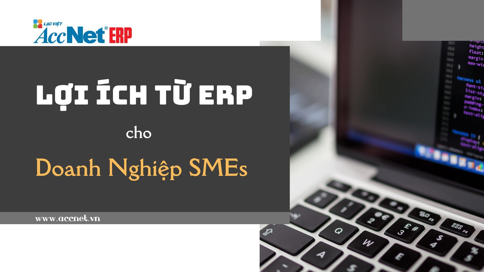 accneterp- lợi ích từ phần mềm ERP cho doanh nghiệp SMEs