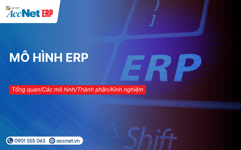 mô hình ERP